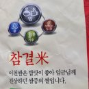 이천고려인삼