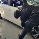 덴트파파