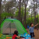 목상동 솔밭길 | [인천 계양 ] 계양산 목상동 노란대문집 소나무 숲 솔밭길 산림욕 &amp; 힐링하기