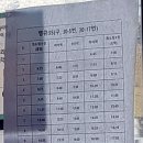 창현4리 티스토리
