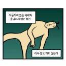 별동별