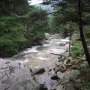 금원산자연휴양림(거창) 이미지