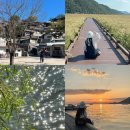 지에스25 순천호스텔점 | 가을 국내 여행 코스 순천 가볼만한곳 6 카페 순천만습지