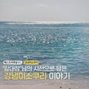 강대장 | 아이와 주문진 가볼만한곳｜강릉 한 달 살기 필수 코스 강냉이소쿠리 (ft. 베스트 리뷰왕 강대장님)
