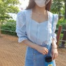 코튼데이지 이미지