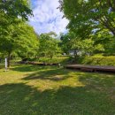 도그밥상 이미지