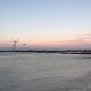 김녕돌담 이미지