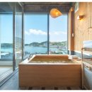 슈가몽 544 이미지