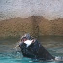 먹고힘내 이미지