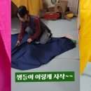 교과서 쏙 책으로 놀아요 | ♥천으로 놀아요!신둔면대신푸른하솜어린이집