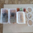 바로덮밥일산