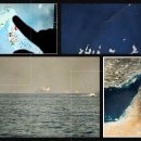 BENEFIT P.T SHOP 이미지