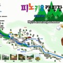 다시캠핑장 이미지