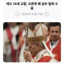 366_261017_pope Leo's surgery was successful 이미지
