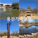 정자나무공원 | 용산 가볼만한곳 용산가족공원 벚꽃 나들이코스 국립중앙박물관 거울못 출발 산책 후기