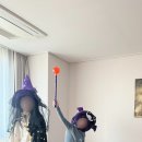 앨리스코티지 이미지