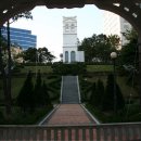 정자정동
