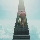 봄날애견 이미지