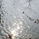 달빛의 대화 이미지