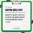 엘패스 이미지