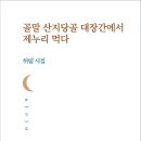 허림 시집/＜골말 산지당골 대장간에서 제누리 먹다＞ /달아실 이미지