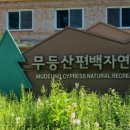 팬타곤숲이야기 이미지