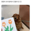 강아지 친구 이미지