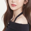 센텀 애견 미용실 네이버블로그