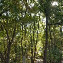 완산-144 이미지