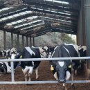 천운농장 이미지