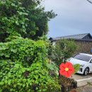 소담이네 돌집 이미지