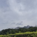 와이엠농장 | 여름과 가을 사이