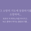 카페큐티 이미지