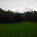 송정주차장 이미지