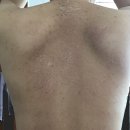 미강의원 이미지