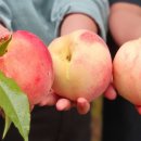 백두농원 이미지