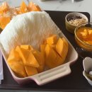 일상가배 | 경남 의령 맛집 가배목림 망고눈꽃빙수 후기