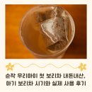 아기 보리차 시작 시기, 6개월부터? 순작 우리아이 첫 보리차 내돈내산 솔직 후기