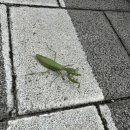 부천고려마디의원 이미지