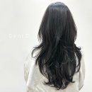 디어디헤어 이미지