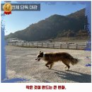모동스토어
