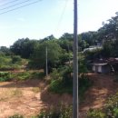 명장옻닭 이미지