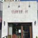 클로버. (clover)37 이미지