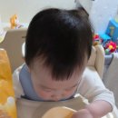 도노도노 하이체어 베이지 | 두 달 사용 비교 솔직후기 가성비 이유식의자 추천