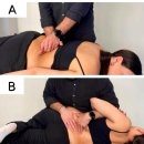 HNP | 근골격계 질환 - 허리 삠(Lumbar sprain)