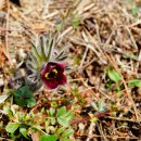 구암농장 이미지