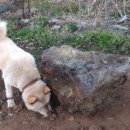 철없는펜션 이미지