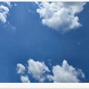 홍성알뜰매장 이미지