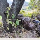 두아름농장 이미지