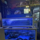 어죽이네 철렵국 | [인천 서구/심곡동] 몸보신 하고 싶을때 어죽이네 철렵국